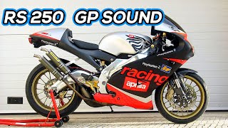 APRILIA RS 250  GP exhausts Flyby sound [upl. by Humfrid]