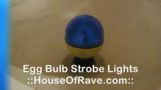 Egg Bulb Strobe Lights  HouseOfRavecom [upl. by Kevyn]