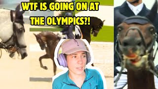 Paris Olympic Equestrian Sports A WELFARE DISASTER  Horse Behaviour Specialist Speaks Out [upl. by Okeim]