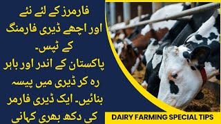 Special dairy farming tips for farmers II How to earn profit in dairy I Overseas farmers special [upl. by Codie]