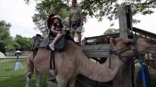 Bowmanville Zoological Park [upl. by Ydissahc]