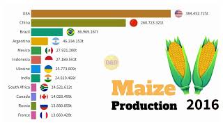 The Largest Maize Producers in the World 1961  2021 [upl. by Cully299]