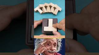 सब  T  को कैसे फिट करें 💯🏆 Albert Einstein trollface trollfaceedit shorts troll memes [upl. by Atsylak123]