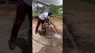 Solar Borehole system in Kajiado [upl. by Fezoj282]