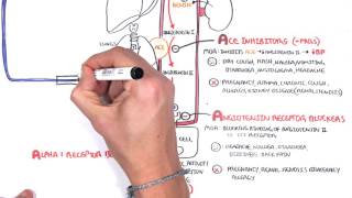 Pharmacology  Antihypertensives [upl. by Laughton]