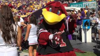 LSU plays Gamecocks alma mater [upl. by Sumaes]