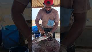 Colourful Spangled Emperor Fish Cutting Skill  Fastest Fish Cutting Videos  MrSampath [upl. by Rivy]