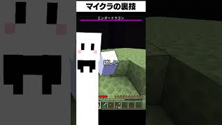 知らないと損する裏技【マイクラ】【かいと】 [upl. by Crain]