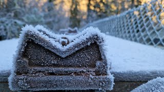 Klosterruine Hirsau 4K  Wanderung durch den Wald  Tiere gesehen youtube germany [upl. by Kciremed]