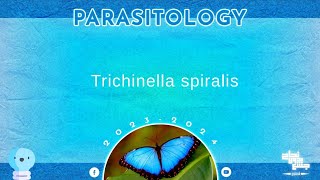 L1part 1 Trichinella spiralis  parasitology [upl. by Hippel]