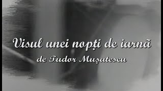 Visul unei nopti de iarna 1980 Full HD cu Florin Piersic  de Tudor Musatescu [upl. by Debby434]