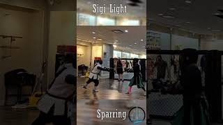 Light Longsword Sparring fencing swordfighting swordsmanship martialarts [upl. by Kyd]