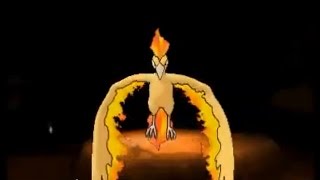 Pokemon XY  Catching Moltres battle and guide [upl. by Adlesirg]