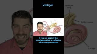 Vertigo brought on by neck movement  Cervicogenic Vertigo  upper cervical chiropractor  SLC [upl. by Suiravad]