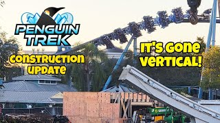 SeaWorld Orlando  Penguin Trek  Construction Update 111023ITS GONE VERTICAL [upl. by Wehner200]