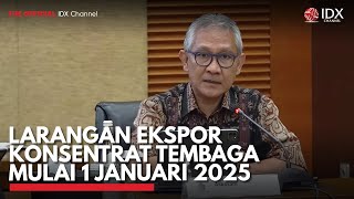 Larangan Ekspor Konsentrat Tembaga Mulai 1 Januari 2025  IDX CHANNEL [upl. by Anaed]