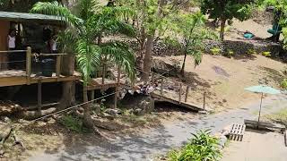 French side of St Martin  Loterie Farm Zipline [upl. by Trent]