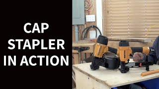 Cap Stapler in Action [upl. by Anitra]