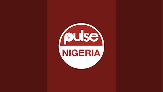 Pulse Influencer Awards 2024 pulsenigeria [upl. by Ellehcin]