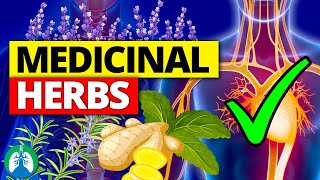 🌱Top 10 Most POWERFUL Medicinal Herbs Backed by Science [upl. by Rycca588]