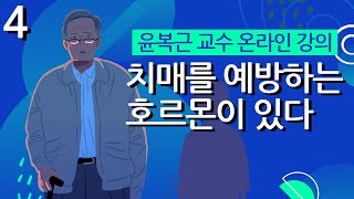 치매를 예방하는 호르몬이 있다 [upl. by Razaile]