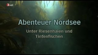 Abenteuer Nordsee  GERMAN DOKU [upl. by Rehsa538]