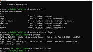 Master the basics of Conda environments in Python [upl. by Adamsen]