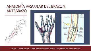 Fístulas arteriovenosas para hemodiálisis [upl. by Adnopoz718]