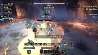 ESO Veteran Unhallowed Grave Relentless Dogcatcher Achievement [upl. by Nnaasil]