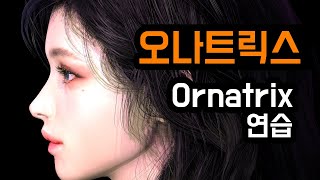 오나트릭스ornatrix 연습 3DS MAX AND ORNATRIX HAIR [upl. by Retla]