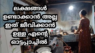 Kerala lifestyle vlogs Kerala house vlogMalayalam youtubers day in my life [upl. by Ijnek]