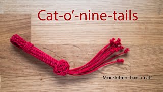 Mini Catoninetails Tutorial [upl. by Onin979]