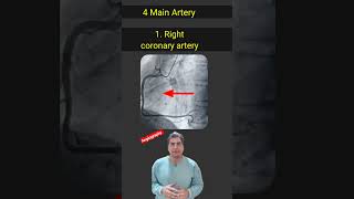 Blood supply of heart l Coronary artery l angiography shorts [upl. by Farlie]