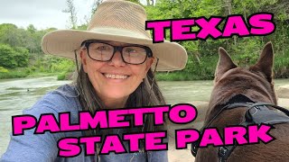 Palmetto State Park TexasSolo Female Camping [upl. by Annatnom494]