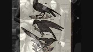 The Dead Weather  3 Birds Instrumental  Horehound [upl. by Montano403]