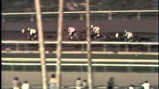 1979 Santa Anita Handicap Affirmed Wins The RARE Full Length Version [upl. by Ayatal]