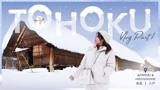 5 DAYS IN TOHOKU Vlog Part 1  Aomori  Hachinohe  Japan Winter Travel [upl. by Cacie]