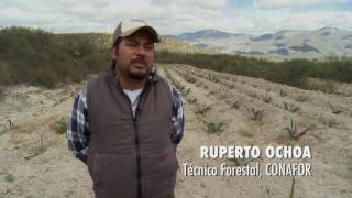 Capítulo 9  El desierto del sur Tehuacán Cuicatlán [upl. by Halford18]