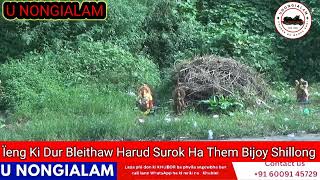 Ïeng Ki Durblei harud surok ha Them Bijoy Shillong [upl. by Uird]