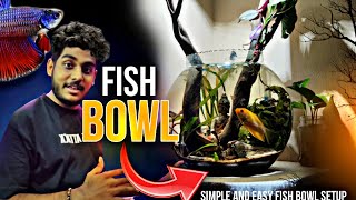 How To Set Up A FISHBOWL The RIGHT Way  Setup Fish Bowl  Planted Fish Bowl Setup [upl. by Saravat714]