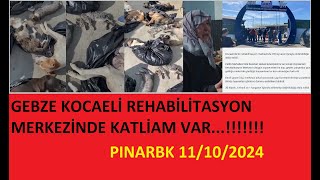 GEBZE KOCAELİ REHABİLİTASYON MERKEZİNDE KATLİAM VAR katliamvar yasayıgeriçek [upl. by Yelyk]