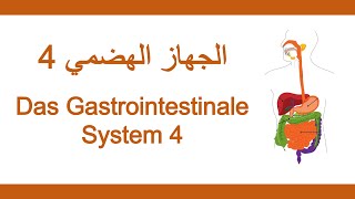 22اللغة الألمانية الطبية  الجهاز الهضمي 4  Medizinische Fachsprache  Gastrointestinales System 4 [upl. by Enyt354]