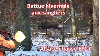 Battue hivernale aux sanglier beaucoup dactionDruckjagd auf WildschweinWild Boar Driven Hunt [upl. by Taam653]