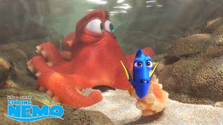 Finding Dory  Blijven Zwemmen  Disney NL [upl. by Assillim]