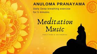 Anuloma Viloma Pranayama I Meditation Music [upl. by Enrique]