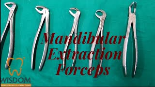 Mandibular Extraction Forceps  Identification Types and Uses [upl. by Donnie254]