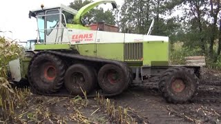 Maïs 2012  Claas Jaguar 690 Terra Trac van Loonbedrijf Kloosterman  John Deere 7710  Case IH 1056 [upl. by Hippel659]