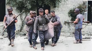 The Execution Of The German Soldiers Of DDay  6th June 1944 [upl. by Eerot]