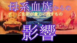 【家系】母系血族からの影響👵👩👧💗共通メッセージもハッとさせられました🫢タロットampオラクル [upl. by Jolda]