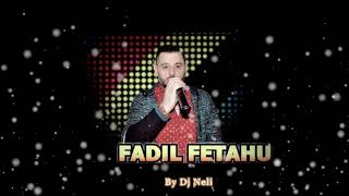 Fadil Fetahu Extra Ritmike 2018 [upl. by Ekal729]